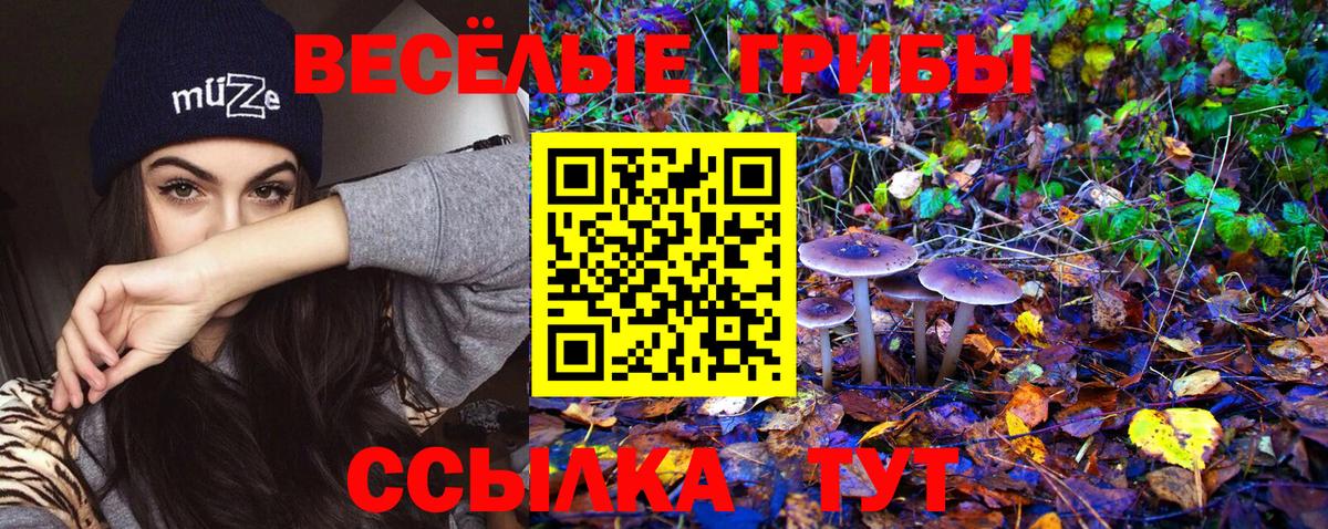 наркотики  Вход с VPN  Куйбышев  Галлюциногенные грибы GOLDEN TEACHER 