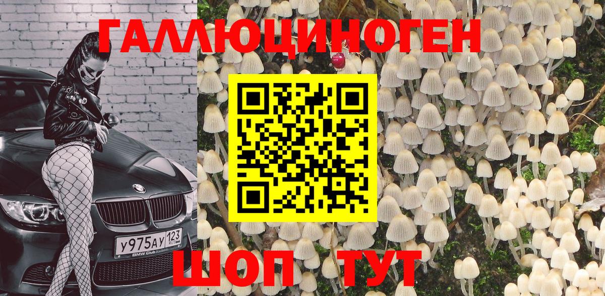Псилоцибиновые грибы мицелий Куйбышев